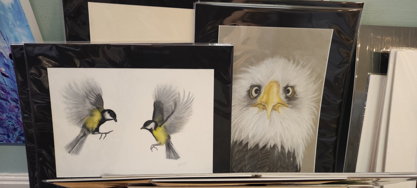 Original artwork displayed in gallery