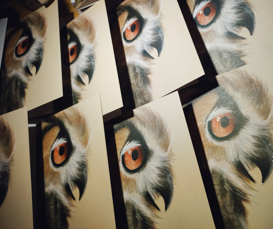 Multiple high quality cards of a log eared owl's side profile