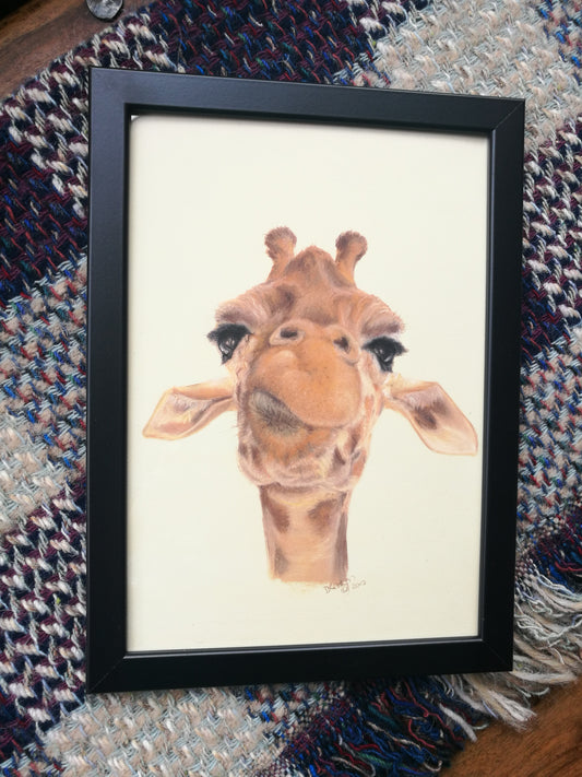 Framed giraffe print - A4