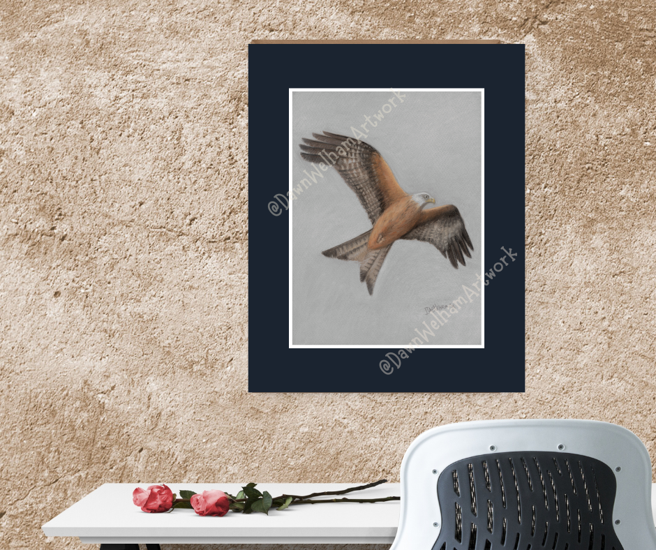 Red Kite