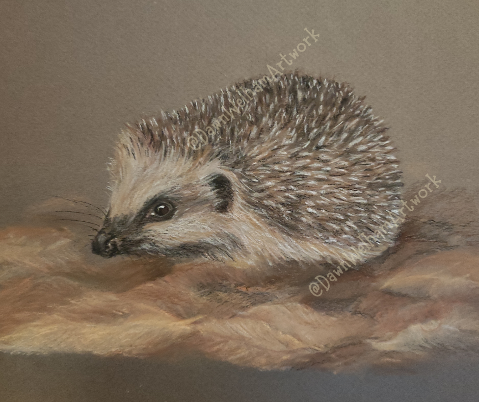 Hedgehog (SOLD)