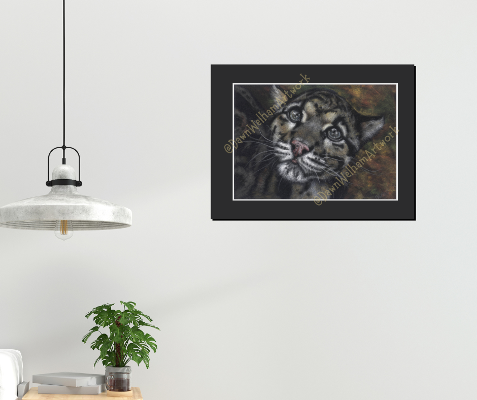 Pastel artwork on a velour surface, of a clouded leopard cub's profile with detailed fur and expression - example with black mount and displayed on a wall