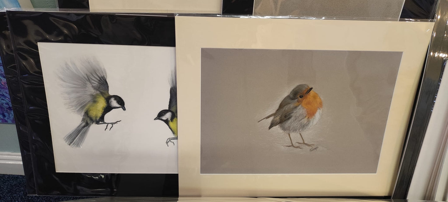 Robin Puffed up Warm image - original in gallery