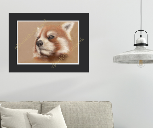 Red panda artwork - the original was drawn with pastel pencils on a luxurious pastel velour base.