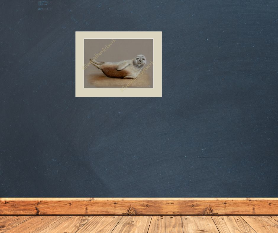 Framed picture of a seal pup on a blue wall