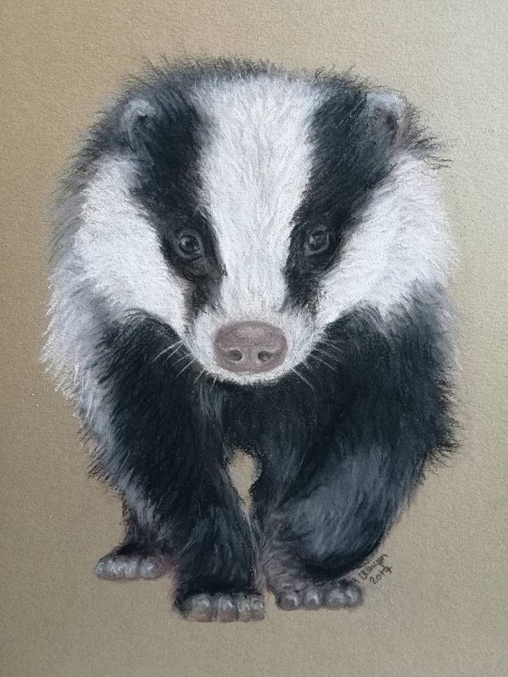 Badger (mid mooch)