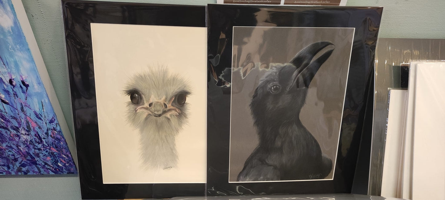 Raven Looking Up image 3