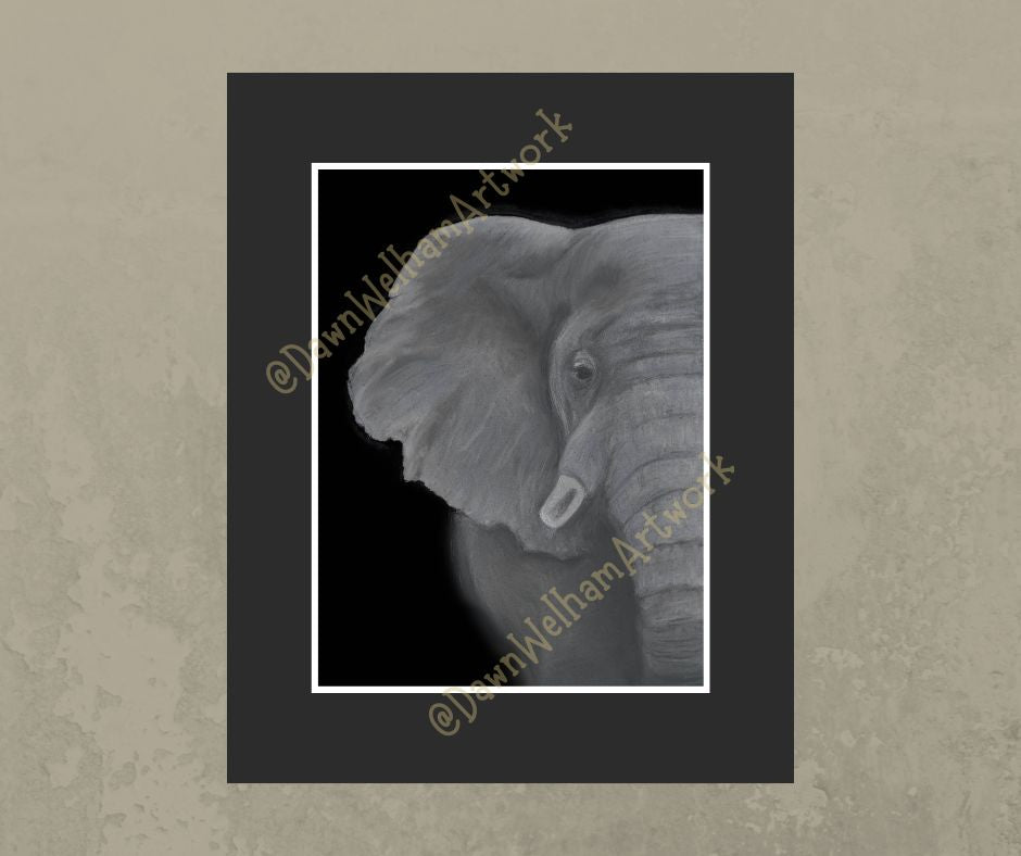 Grey and white pastel artwork of an African elephant on a black background - example of framed artwork mounted and framed on wall