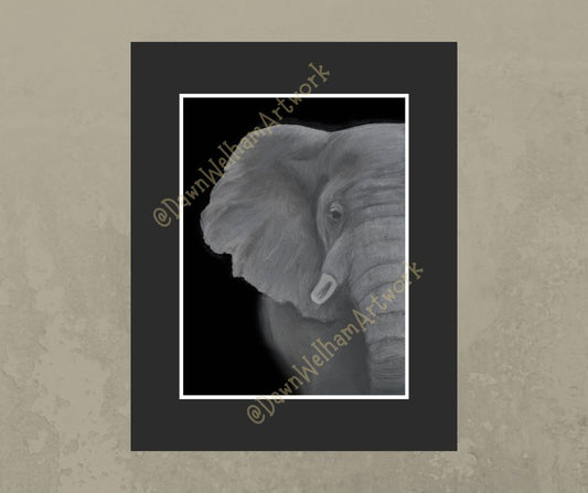 Grey and white pastel artwork of an African elephant on a black background - example of framed artwork mounted and framed on wall
