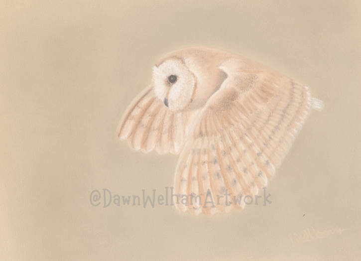 Pastel artwork of a barn owl on a beige background with 'Dawn Welham Artwork' watermark.