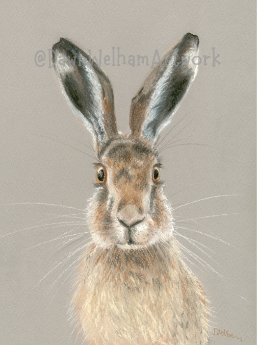 Pastel artwork of a hare with a neutral background