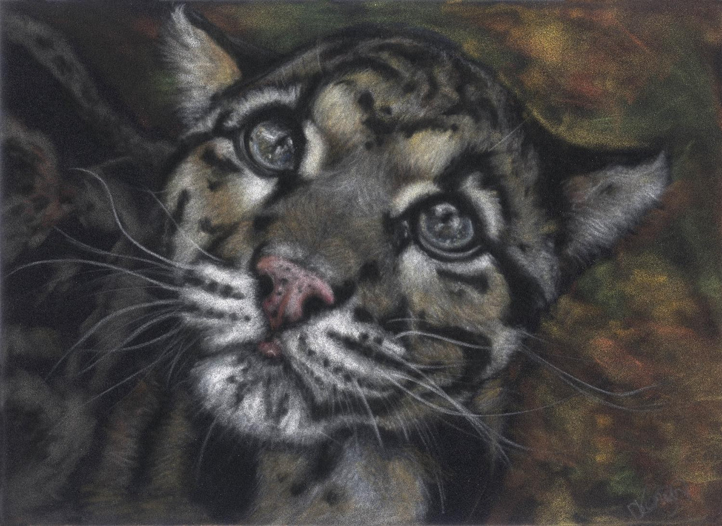 Pastel artwork on a velour surface, of a clouded leopard cub's profile with detailed fur and expression.