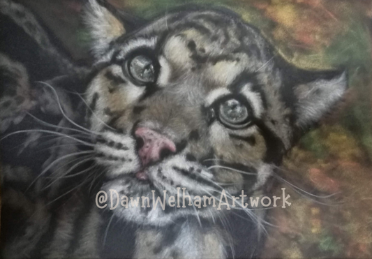 Artistic depiction of a clouded leopard cub on velour base