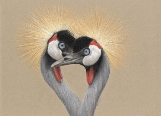 Crowned Cranes