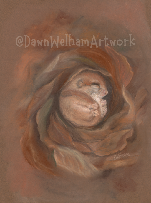 Pastel drawing of a dormouse in autumn leaves