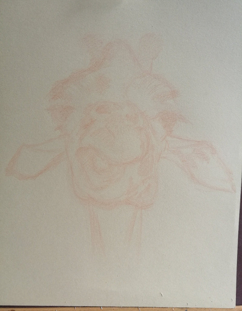 Outline at the beginning of an artwork of a giraffe