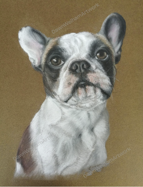 This portrait was a birthday gift commissioned for Angie C’s sister: 

“Thank you so much, it’s perfect. I couldn’t wait to give it to my sister so she has it now and was absolutely thrilled. It is a true likeness, you are so talented. I may order another as I really wanted to keep it! Thanks again.” 

Angie C, York