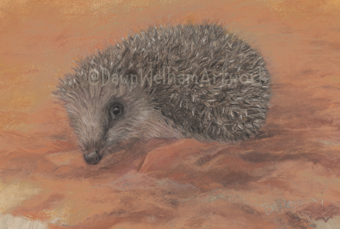 Hedgehog on a textured brown background