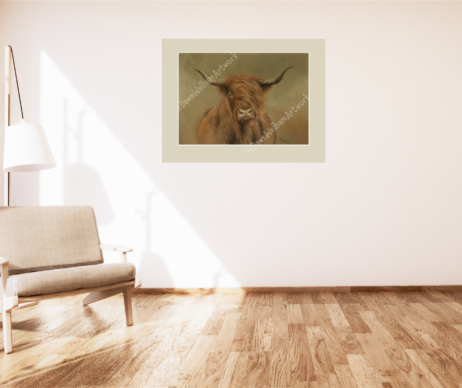 Highland cow