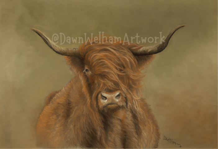 Pastel artwork of a highland cow with a mottled background, signed 'Dawn Welham Artwork'.