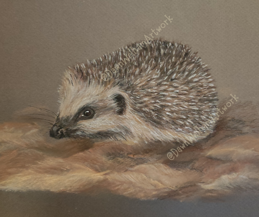 Hedgehog (SOLD)