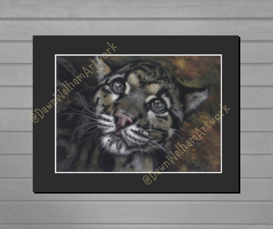 Pastel artwork on a velour surface, of a clouded leopard cub's profile with detailed fur and expression - example with black mount and displayed on a wall