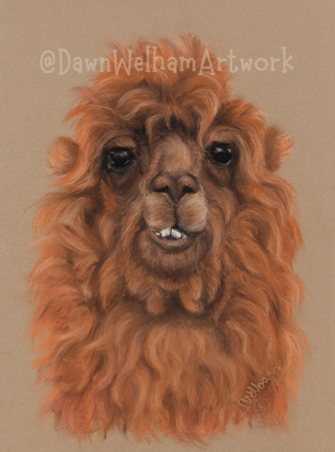 Pastel artwork of a llama's profile (mid-chew) on a warm background 
