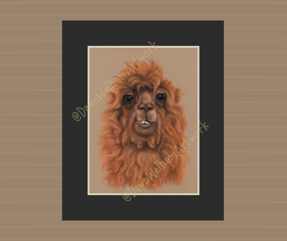 Red panda artwork - the original drawn with pastel pencils on a luxurious pastel velour base.