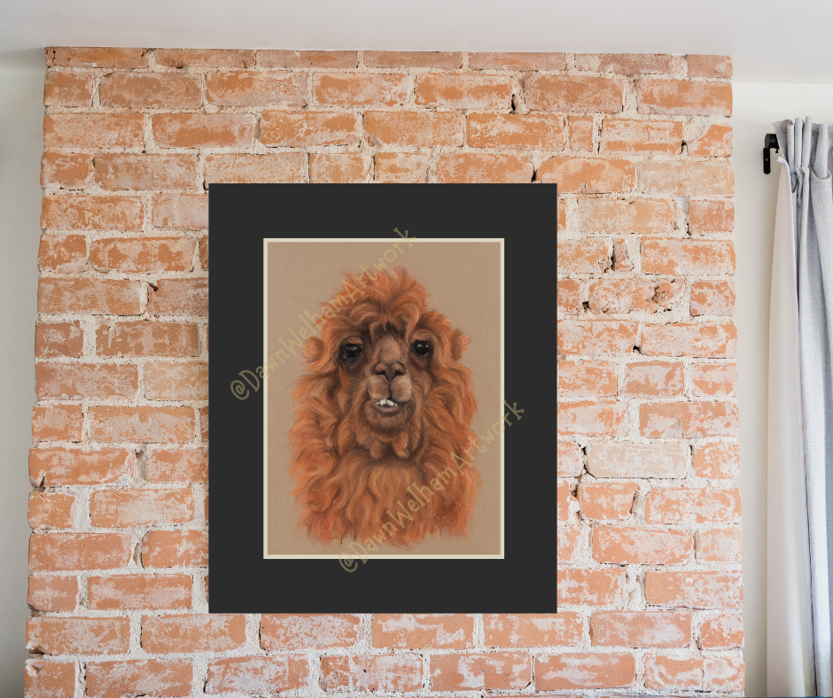 Red panda artwork - the original drawn with pastel pencils on a luxurious pastel velour base.