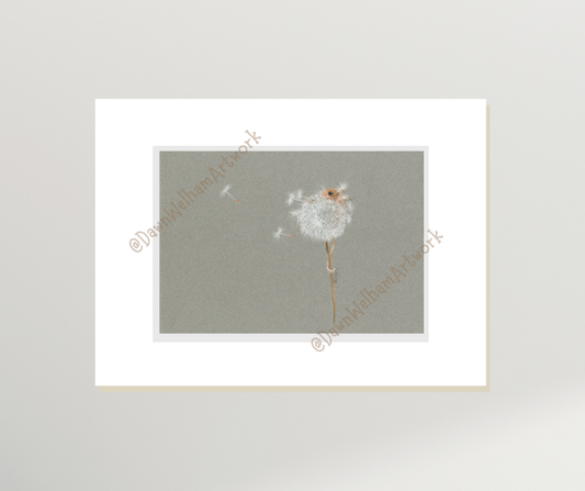 Harvest mouse in a dandelion seed head on a grey background - example of artwork mounted on wall