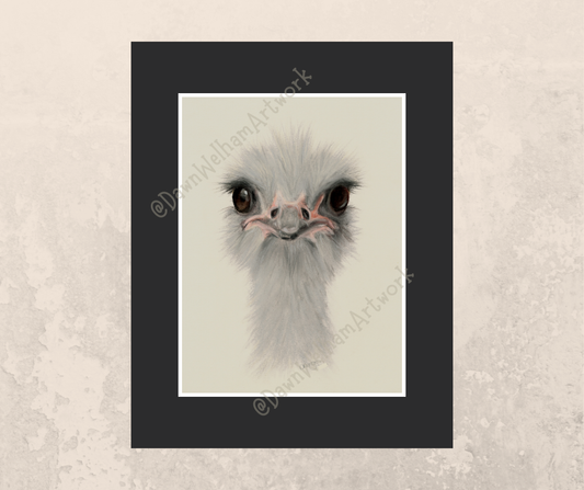 Framed artwork of an ostrich's face on a light background - example of black mount on wall