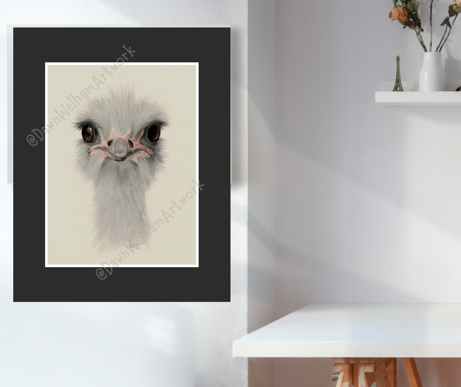 Ostrich portrait in grey and pale pink on a light background - example of black mount on wall