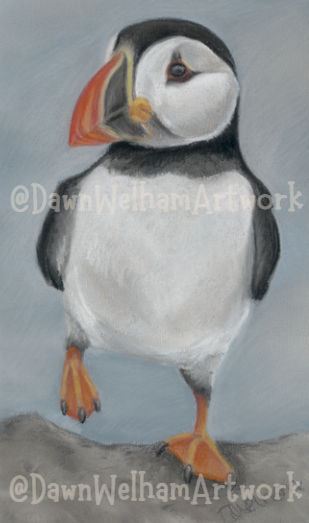 Pastel artwork of a puffin on a rock with a blue background, signed 'Dawn Welham Artwork'.