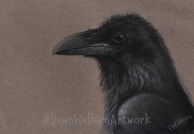 Pastel artwork of a raven - side profile on deep musky background