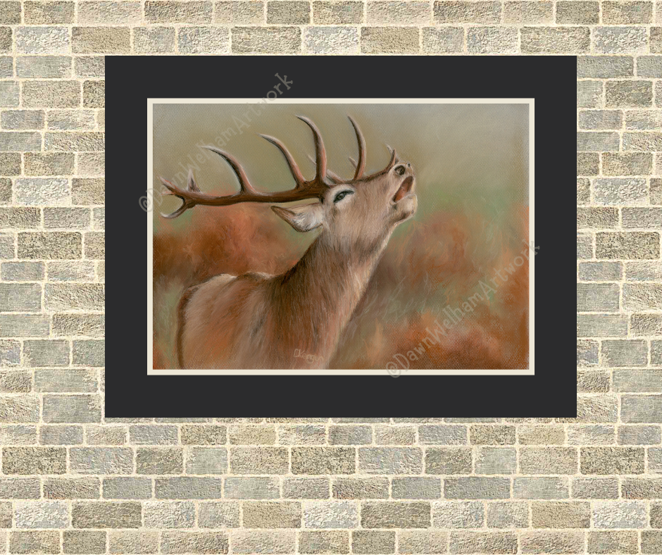 Red Deer Stag