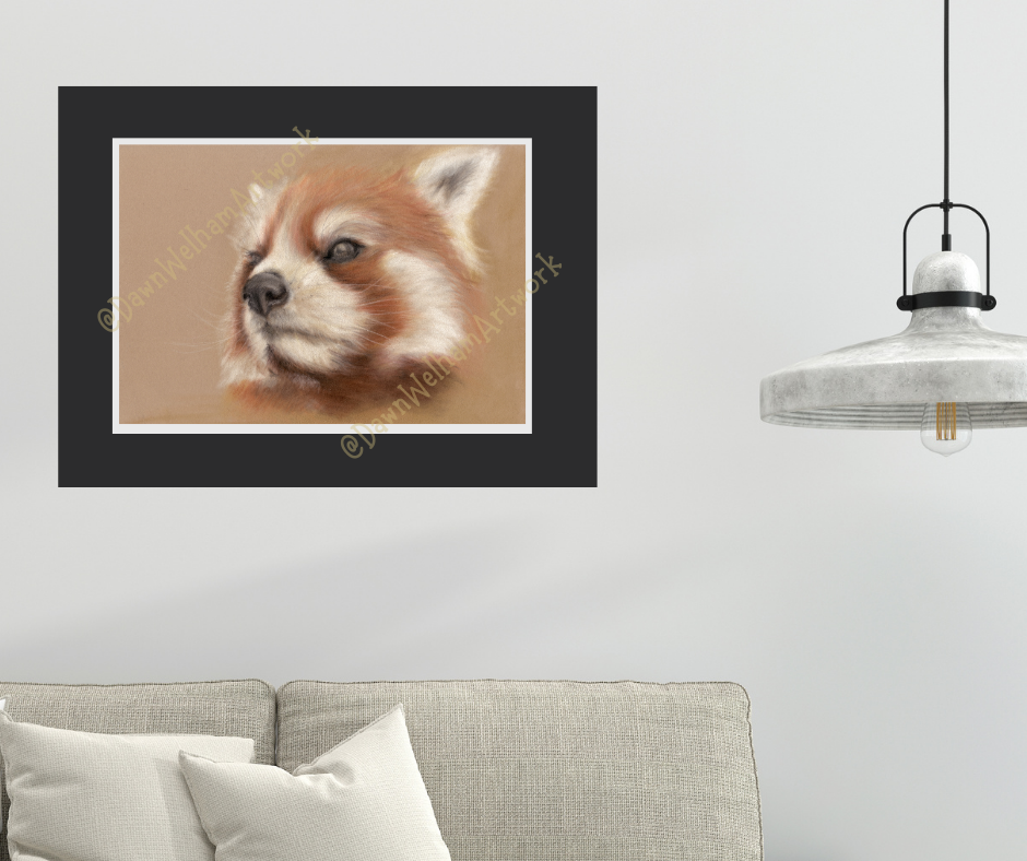 Red panda artwork - the original was drawn with pastel pencils on a luxurious pastel velour base.