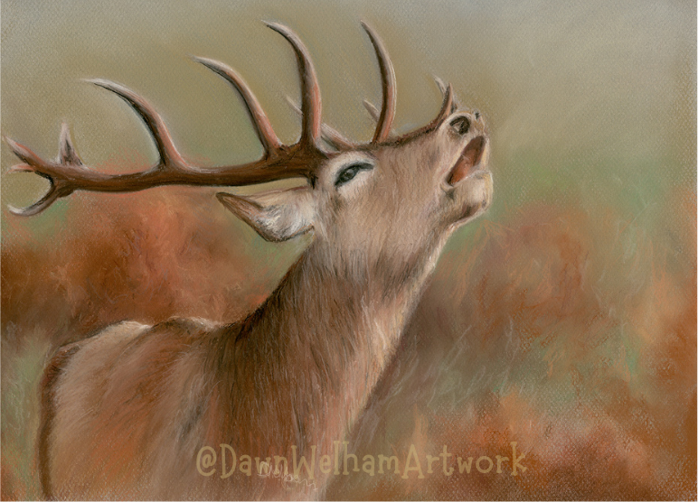 Pastel artwork of red deer stag with large antlers against a natural background