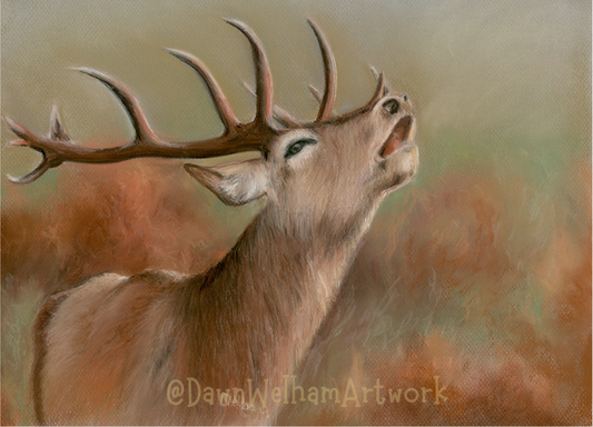 Pastel artwork of red deer stag with large antlers against a natural background