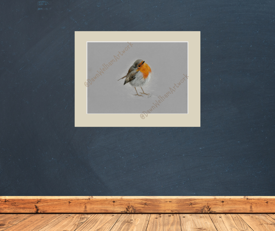 Robin Puffed up Warm image 6