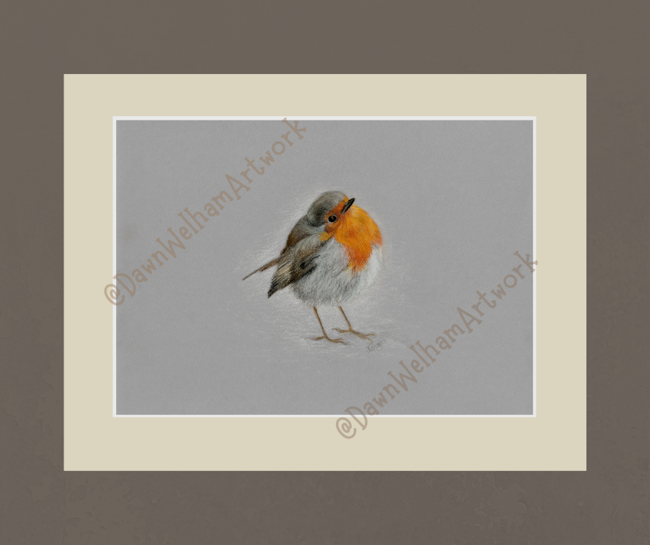 Robin Puffed up Warm image 7