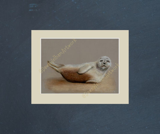 Framed picture of a seal pup on a blue wall